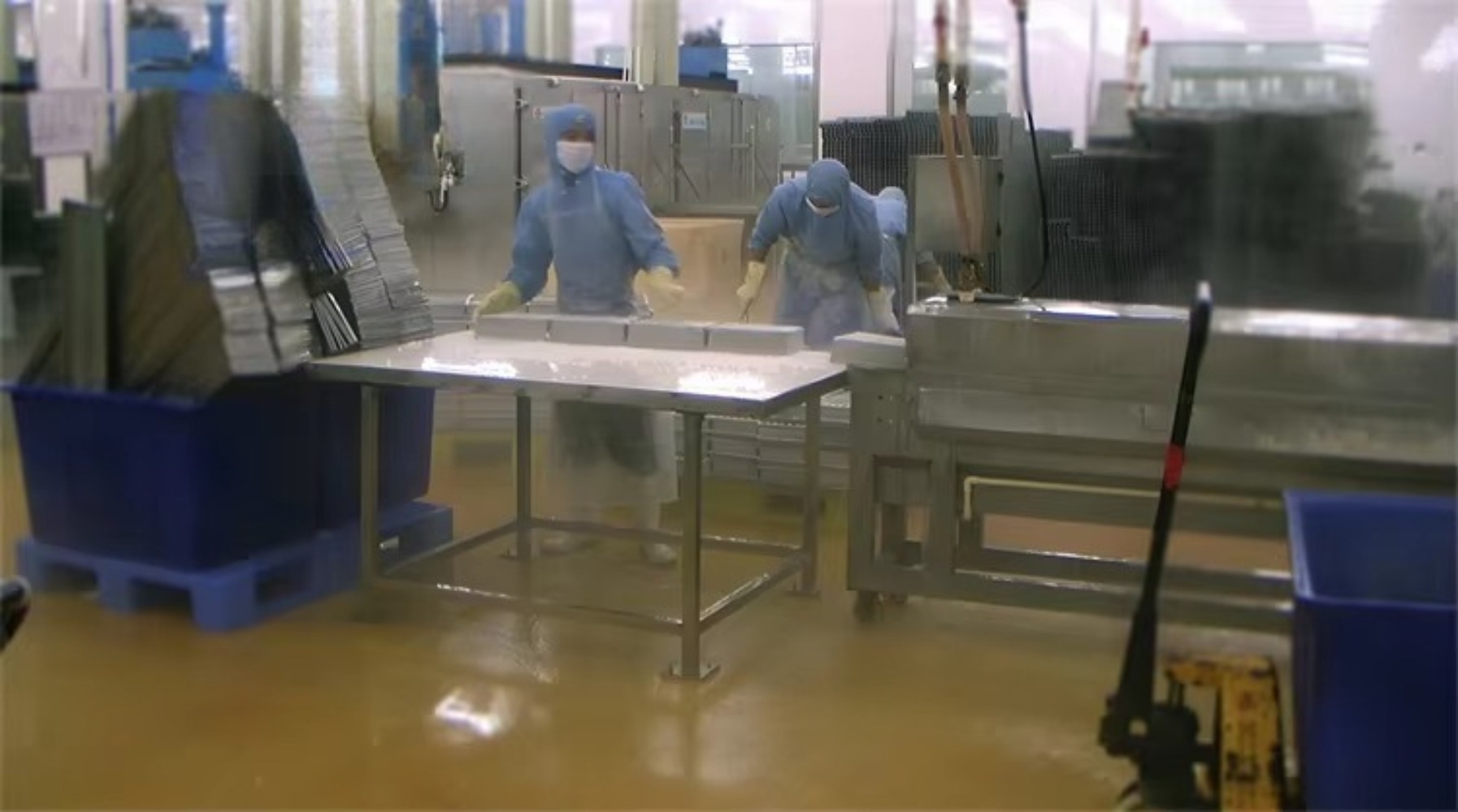 Seafood fish and shrimp proces - مراجعة Fishing Equipment In وسعره